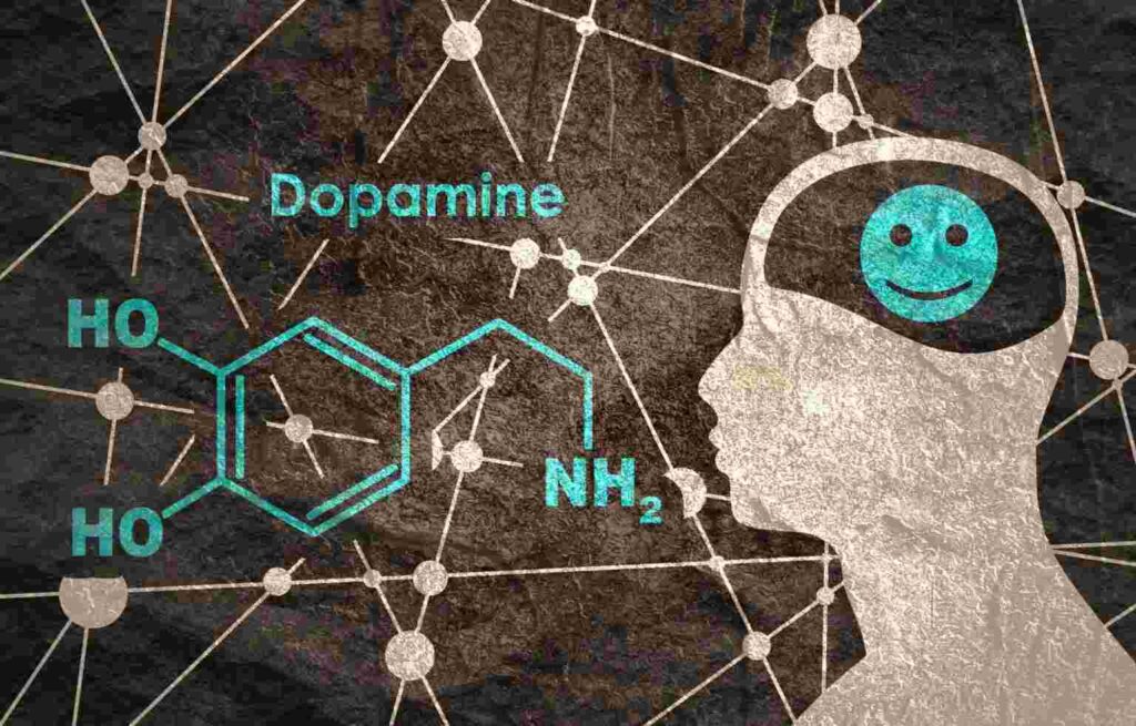 Dopamine Triggers 